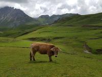 Wanderreise Nord-Spanien – Jakobsweg und Atlantik: 9 Tage Wanderreise in Nordspanien mit San Sebastian – Picos de Europa – Jakobsweg – Santiago de Compostela – Atlantikküste – Porto &ndash; &copy; Benjamin Rodriguez Manzanares (Eberhardt TRAVEL)