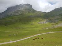 Wanderreise Nord-Spanien – Jakobsweg und Atlantik: 9 Tage Wanderreise in Nordspanien mit San Sebastian – Picos de Europa – Jakobsweg – Santiago de Compostela – Atlantikküste – Porto &ndash; &copy; Benjamin Rodriguez Manzanares (Eberhardt TRAVEL)