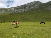 Wanderreise Nord-Spanien – Jakobsweg und Atlantik: 9 Tage Wanderreise in Nordspanien mit San Sebastian – Picos de Europa – Jakobsweg – Santiago de Compostela – Atlantikküste – Porto &ndash; &copy; Benjamin Rodriguez Manzanares (Eberhardt TRAVEL)