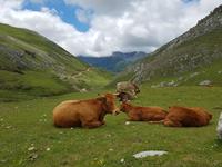 Wanderreise Nord-Spanien – Jakobsweg und Atlantik: 9 Tage Wanderreise in Nordspanien mit San Sebastian – Picos de Europa – Jakobsweg – Santiago de Compostela – Atlantikküste – Porto &ndash; &copy; Benjamin Rodriguez Manzanares (Eberhardt TRAVEL)