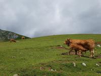 Wanderreise Nord-Spanien – Jakobsweg und Atlantik: 9 Tage Wanderreise in Nordspanien mit San Sebastian – Picos de Europa – Jakobsweg – Santiago de Compostela – Atlantikküste – Porto &ndash; &copy; Benjamin Rodriguez Manzanares (Eberhardt TRAVEL)