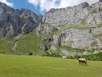 Wanderreise Nord-Spanien – Jakobsweg und Atlantik: 9 Tage Wanderreise in Nordspanien mit San Sebastian – Picos de Europa – Jakobsweg – Santiago de Compostela – Atlantikküste – Porto &ndash; &copy; Benjamin Rodriguez Manzanares (Eberhardt TRAVEL)