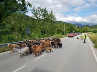 Wanderreise Nord-Spanien – Jakobsweg und Atlantik: 9 Tage Wanderreise in Nordspanien mit San Sebastian – Picos de Europa – Jakobsweg – Santiago de Compostela – Atlantikküste – Porto &ndash; &copy; Benjamin Rodriguez Manzanares (Eberhardt TRAVEL)