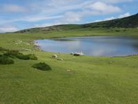Wanderreise Nord-Spanien – Jakobsweg und Atlantik: 9 Tage Wanderreise in Nordspanien mit San Sebastian – Picos de Europa – Jakobsweg – Santiago de Compostela – Atlantikküste – Porto &ndash; &copy; Benjamin Rodriguez Manzanares (Eberhardt TRAVEL)