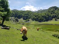 Wanderreise Nord-Spanien – Jakobsweg und Atlantik: 9 Tage Wanderreise in Nordspanien mit San Sebastian – Picos de Europa – Jakobsweg – Santiago de Compostela – Atlantikküste – Porto &ndash; &copy; Benjamin Rodriguez Manzanares (Eberhardt TRAVEL)