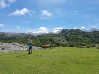Wanderreise Nord-Spanien – Jakobsweg und Atlantik: 9 Tage Wanderreise in Nordspanien mit San Sebastian – Picos de Europa – Jakobsweg – Santiago de Compostela – Atlantikküste – Porto &ndash; &copy; Benjamin Rodriguez Manzanares (Eberhardt TRAVEL)