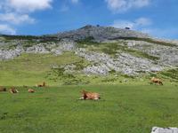 Wanderreise Nord-Spanien – Jakobsweg und Atlantik: 9 Tage Wanderreise in Nordspanien mit San Sebastian – Picos de Europa – Jakobsweg – Santiago de Compostela – Atlantikküste – Porto &ndash; &copy; Benjamin Rodriguez Manzanares (Eberhardt TRAVEL)