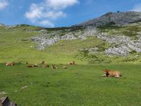 Wanderreise Nord-Spanien – Jakobsweg und Atlantik: 9 Tage Wanderreise in Nordspanien mit San Sebastian – Picos de Europa – Jakobsweg – Santiago de Compostela – Atlantikküste – Porto &ndash; &copy; Benjamin Rodriguez Manzanares (Eberhardt TRAVEL)