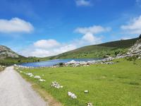 Wanderreise Nord-Spanien – Jakobsweg und Atlantik: 9 Tage Wanderreise in Nordspanien mit San Sebastian – Picos de Europa – Jakobsweg – Santiago de Compostela – Atlantikküste – Porto &ndash; &copy; Benjamin Rodriguez Manzanares (Eberhardt TRAVEL)