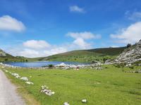 Wanderreise Nord-Spanien – Jakobsweg und Atlantik: 9 Tage Wanderreise in Nordspanien mit San Sebastian – Picos de Europa – Jakobsweg – Santiago de Compostela – Atlantikküste – Porto &ndash; &copy; Benjamin Rodriguez Manzanares (Eberhardt TRAVEL)