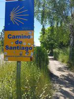 Wanderreise Nord-Spanien – Jakobsweg und Atlantik: 9 Tage Wanderreise in Nordspanien mit San Sebastian – Picos de Europa – Jakobsweg – Santiago de Compostela – Atlantikküste – Porto &ndash; &copy; Benjamin Rodriguez Manzanares (Eberhardt TRAVEL)