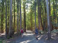 Wanderreise Nord-Spanien – Jakobsweg und Atlantik: 9 Tage Wanderreise in Nordspanien mit San Sebastian – Picos de Europa – Jakobsweg – Santiago de Compostela – Atlantikküste – Porto &ndash; &copy; Benjamin Rodriguez Manzanares (Eberhardt TRAVEL)
