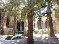 Barcelona (121)