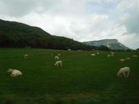 Rupit (1)
