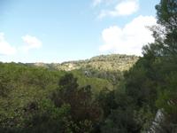 Singlereise Mallorca Wandern – Tramuntanagebirge &ndash; &copy; Franziska Bergmann (Eberhardt TRAVEL)