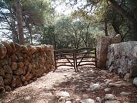 Singlereise Mallorca Wandern – Tramuntanagebirge &ndash; &copy; Franziska Bergmann (Eberhardt TRAVEL)
