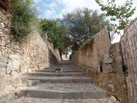 Singlereise Mallorca Wandern – Deia &ndash; &copy; Franziska Bergmann (Eberhardt TRAVEL)