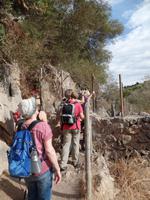 Singlereise Mallorca Wandern – Tramuntanagebirge &ndash; &copy; Franziska Bergmann (Eberhardt TRAVEL)