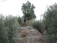 Singlereise Mallorca Wandern &ndash; &copy; Franziska Bergmann (Eberhardt TRAVEL)
