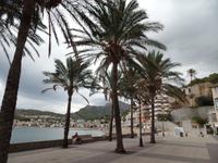 Singlereise Mallorca Wandern – Port de Soller &ndash; &copy; Franziska Bergmann (Eberhardt TRAVEL)