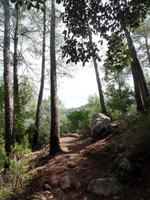 Singlereise Mallorca Wandern &ndash; &copy; Franziska Bergmann (Eberhardt TRAVEL)