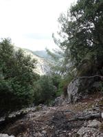 Singlereise Mallorca Wandern – Serra de Tramuntana &ndash; &copy; Franziska Bergmann (Eberhardt TRAVEL)