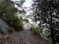 Singlereise Mallorca Wandern – Serra de Tramuntana &ndash; &copy; Franziska Bergmann (Eberhardt TRAVEL)