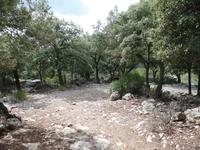 Singlereise Mallorca Wandern – Serra de Tramuntana &ndash; &copy; Franziska Bergmann (Eberhardt TRAVEL)