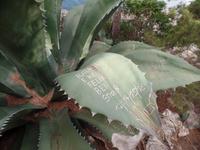 Singlereise Mallorca Wandern &ndash; &copy; Franziska Bergmann (Eberhardt TRAVEL)