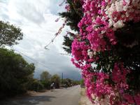 Singlereise Mallorca Wandern – Küstenwanderung an der Ostküste &ndash; &copy; Franziska Bergmann (Eberhardt TRAVEL)
