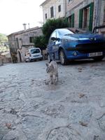 Singlereise Mallorca Wandern – Valldemossa &ndash; &copy; Franziska Bergmann (Eberhardt TRAVEL)