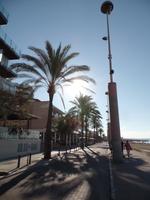 Singlereise Mallorca Wandern – Playa de Palma &ndash; &copy; Franziska Bergmann (Eberhardt TRAVEL)
