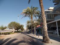 Singlereise Mallorca Wandern – Playa de Palma &ndash; &copy; Franziska Bergmann (Eberhardt TRAVEL)