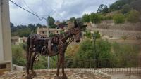 Singlereise Mallorca Wandern – Westküste &ndash; &copy; Franziska Bergmann (Eberhardt TRAVEL)