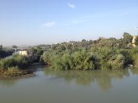 Cordoba (10)