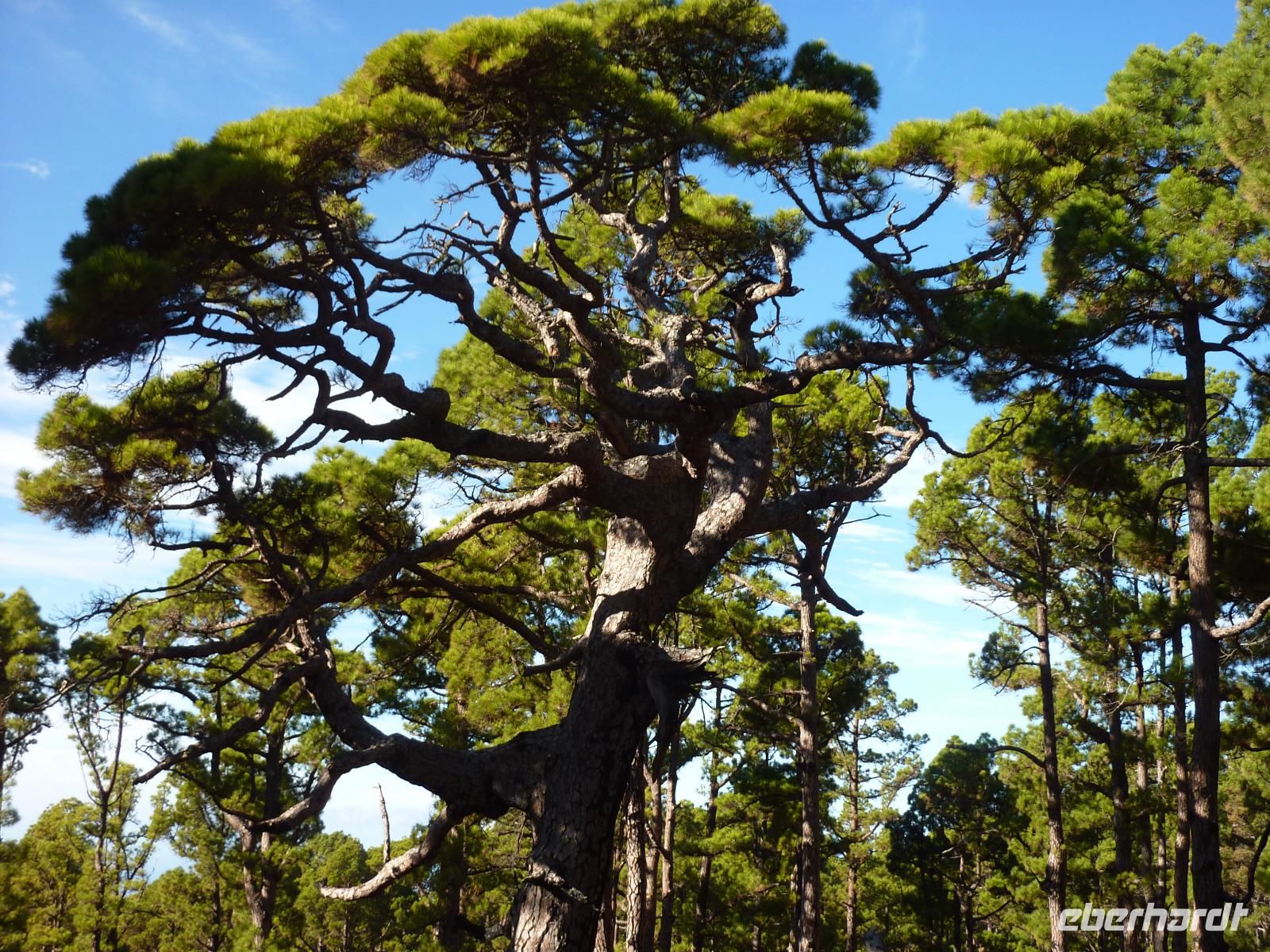 P1160102 &ndash; &copy; Cornelia Ritter (Eberhardt TRAVEL)