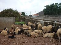 P1150889 &ndash; &copy; Cornelia Ritter (Eberhardt TRAVEL)