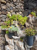 P1150915 &ndash; &copy; Cornelia Ritter (Eberhardt TRAVEL)