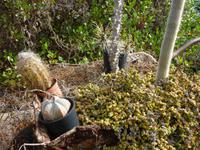 P1150960 &ndash; &copy; Cornelia Ritter (Eberhardt TRAVEL)