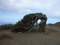 P1160060 &ndash; &copy; Cornelia Ritter (Eberhardt TRAVEL)