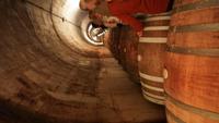 Besichtigung und Weinverkostung in der Bodega Torres &ndash; &copy; Jacob Spangenberg (Eberhardt TRAVEL)
