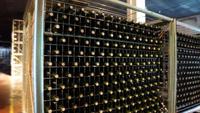 Besichtigung und Weinverkostung in der Bodega Torres &ndash; &copy; Jacob Spangenberg (Eberhardt TRAVEL)