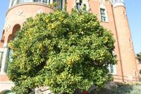 Hospital Sant Pau -  Barcelona &ndash; &copy; Jacob Spangenberg (Eberhardt TRAVEL)