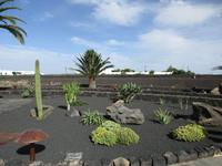 Lanzarote &ndash; &copy; Silvia Buske (Eberhardt TRAVEL)