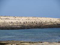 Wanderung auf La Graiosa &ndash; &copy; Silvia Buske (Eberhardt TRAVEL)