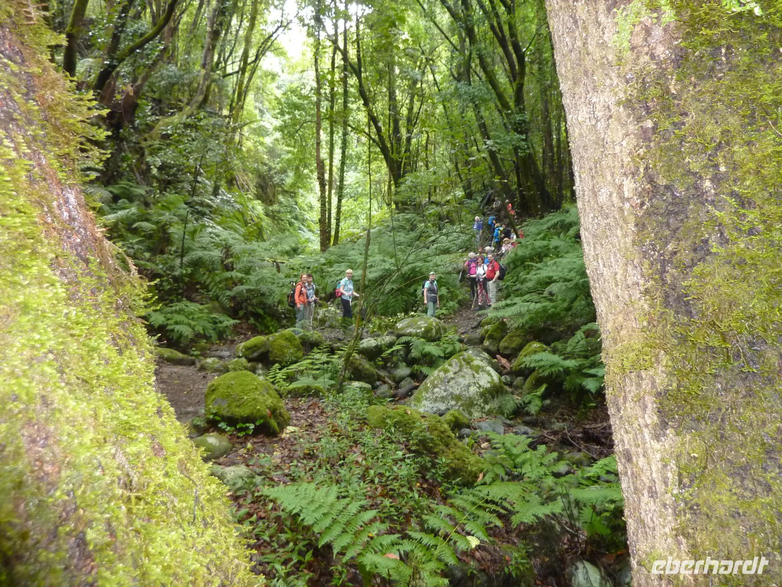 P1170101 &ndash; &copy; Cornelia Ritter (Eberhardt TRAVEL)