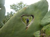 P1170049 &ndash; &copy; Cornelia Ritter (Eberhardt TRAVEL)