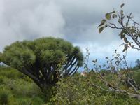 P1170051 &ndash; &copy; Cornelia Ritter (Eberhardt TRAVEL)