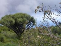P1170053 &ndash; &copy; Cornelia Ritter (Eberhardt TRAVEL)