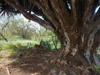 P1170069 &ndash; &copy; Cornelia Ritter (Eberhardt TRAVEL)